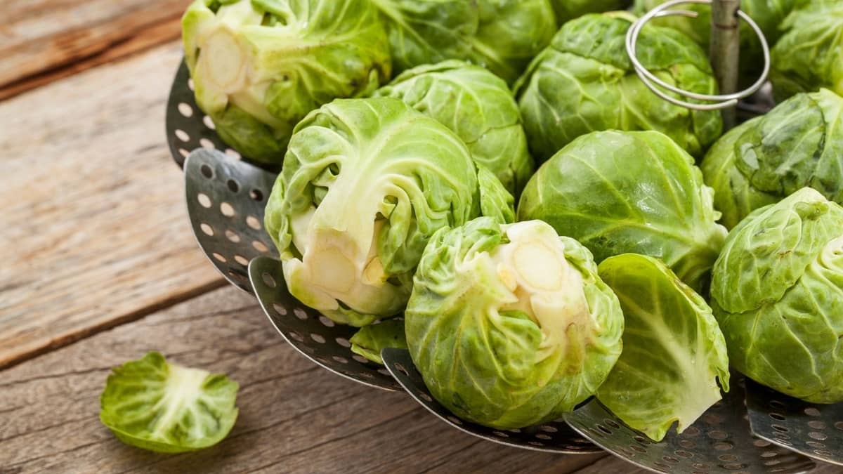 Can Dogs Eat Cooked Brussel Sprouts Benefits and The Best Cooking Methods
